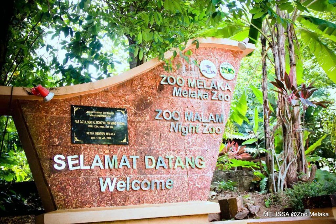 Sun Inns Hotel Ayer Keroh Eksteriør billede
